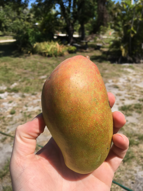 71F1A1E3-DC47-4A33-90BD-C224C84B55FA