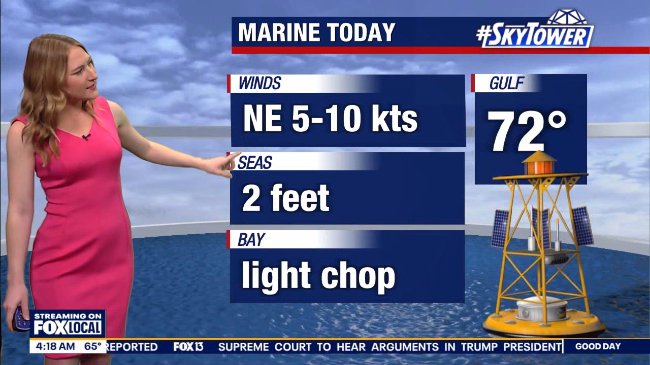 FOX13s Good Day Tampa Bay at 400am_20240307_09000930.ts_snapshot_19.53.308