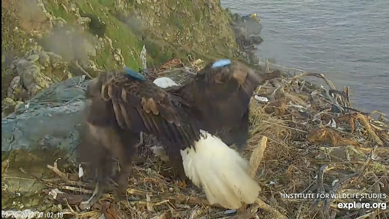 CFB77709-9306-4406-823C-68F9B18DD466