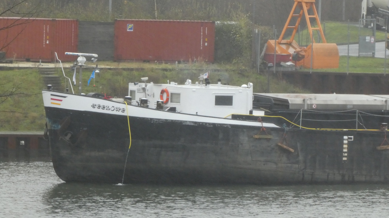 2021.12.01b Seelöwe