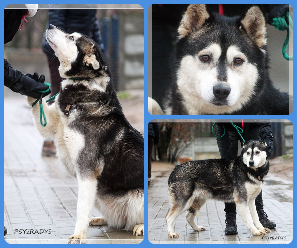 BeFunky-collage (15)