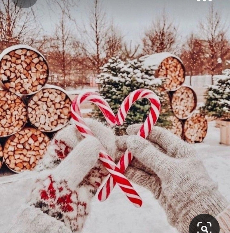 Screenshot_20231101_230202_Pinterest