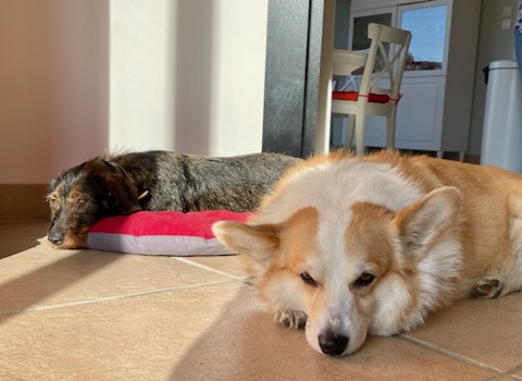 [Image: IMG-20240228-204813.jpg]