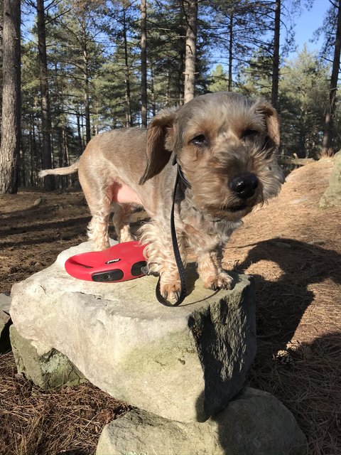 [Image: A60-CA761-86-E3-4188-9711-A85-C0-F235196.jpg]