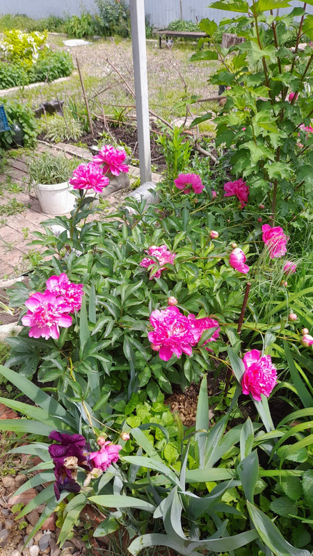 Изображение WhatsApp 2025-05-14 в 12.00.02_6b00c9a8