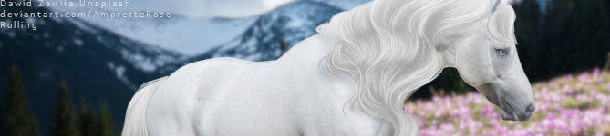 Ghostly-Horses.png
