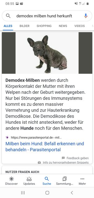 Bild