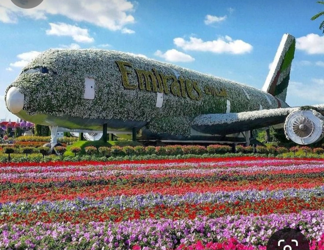 Screenshot_20240425_224505_Pinterest