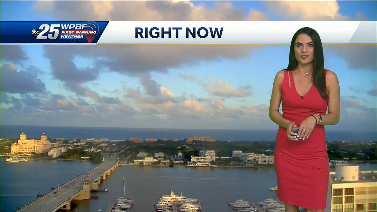 11.22 - 22.00.00 - Wpbf 25 News At 5 00.-1.m4v_snapshot_00.07.14_[2020.11.23_14.32.09]