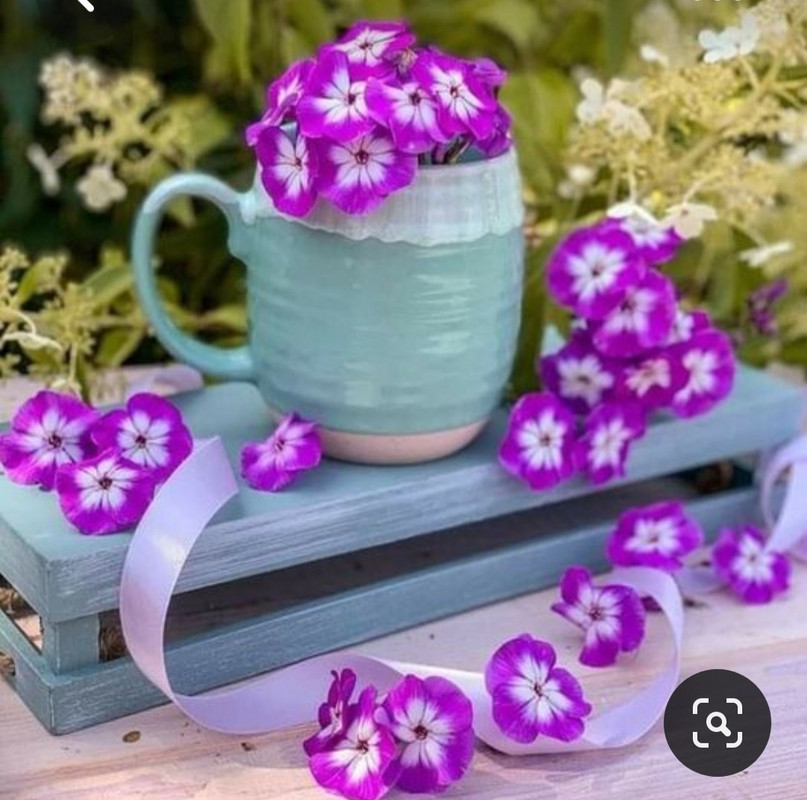 Screenshot_20230710_233357_Pinterest