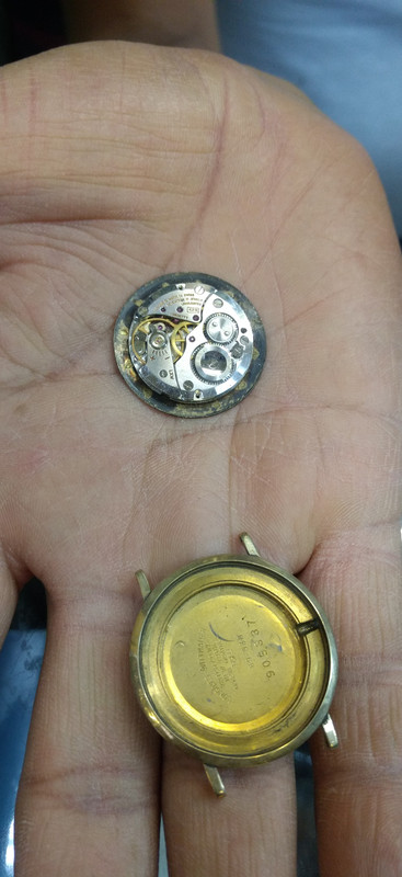 IMG_20190712_152825584~3