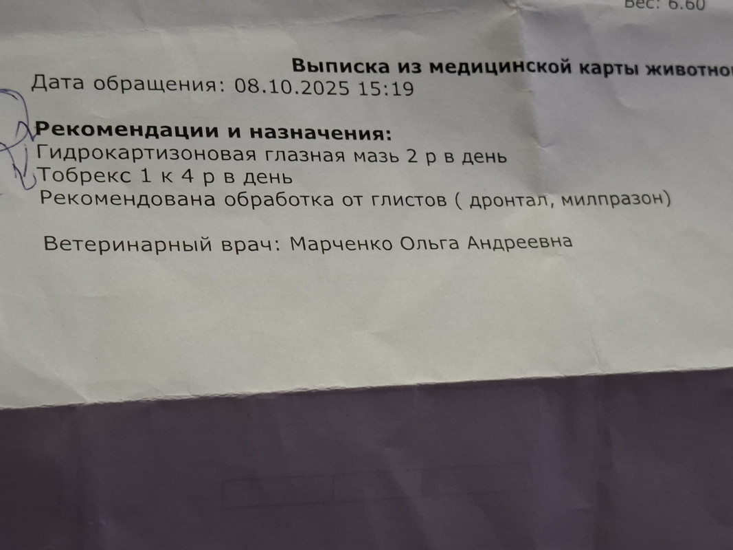 20260211 223647