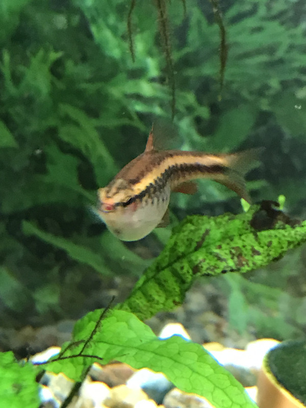 DE12140C-1194-4F70-8493-E1008AD42297