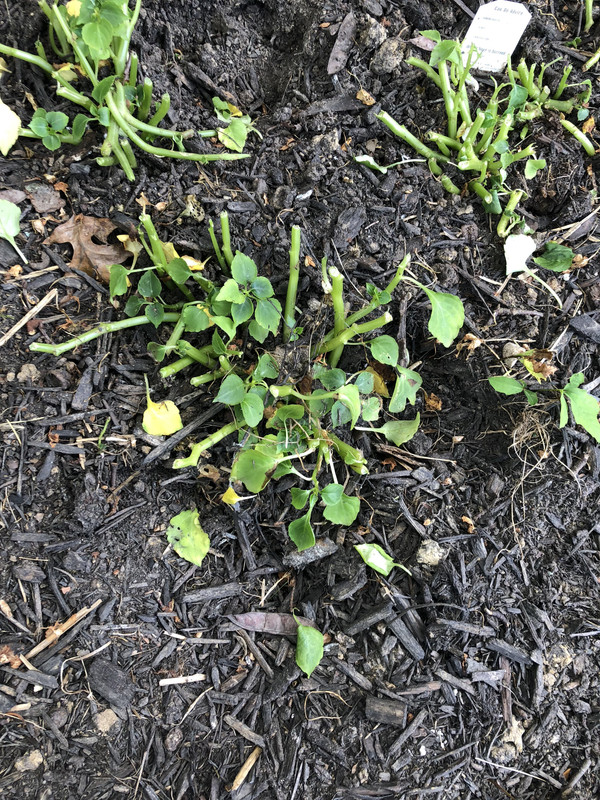 F46835D9-ECE2-487C-9820-9A0442AC8B30