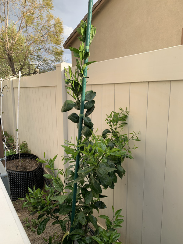 8ADDEBE6-3320-445D-A5A8-AB0749FDBD4E