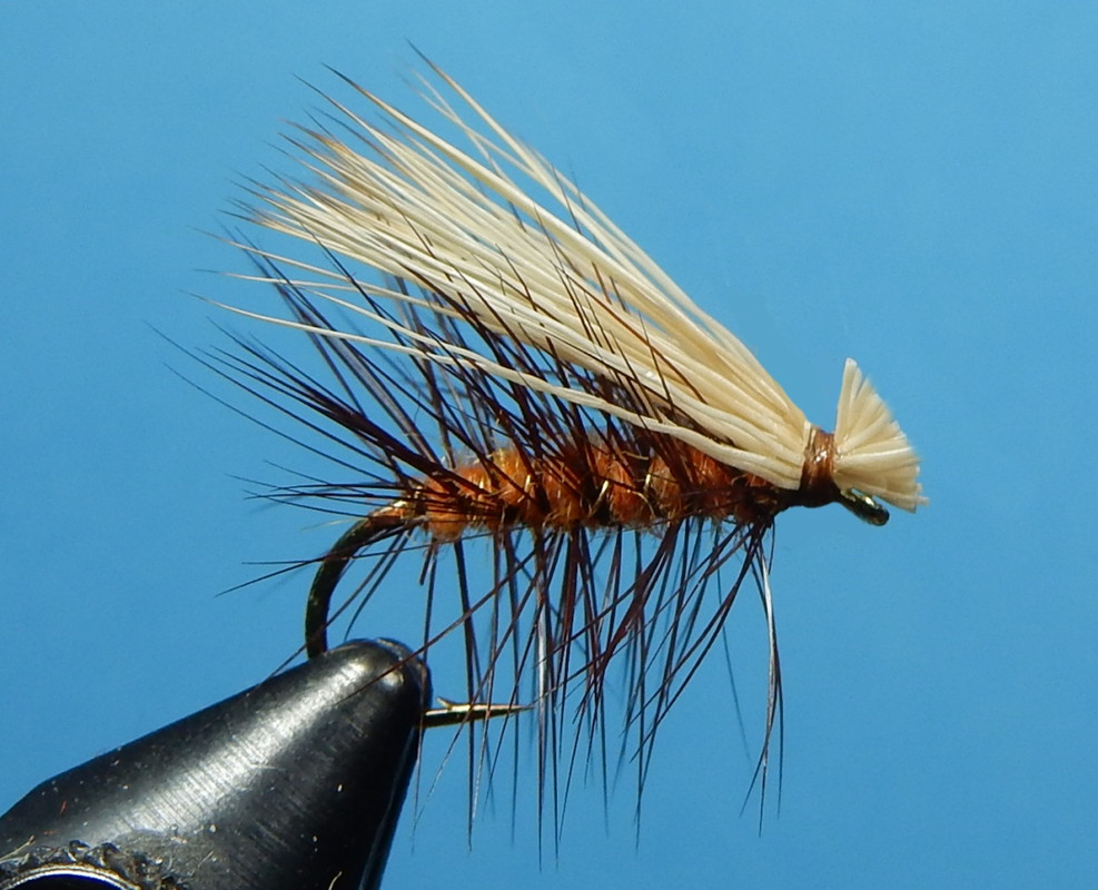 October-Elk-Hair-Caddis-1080.jpg