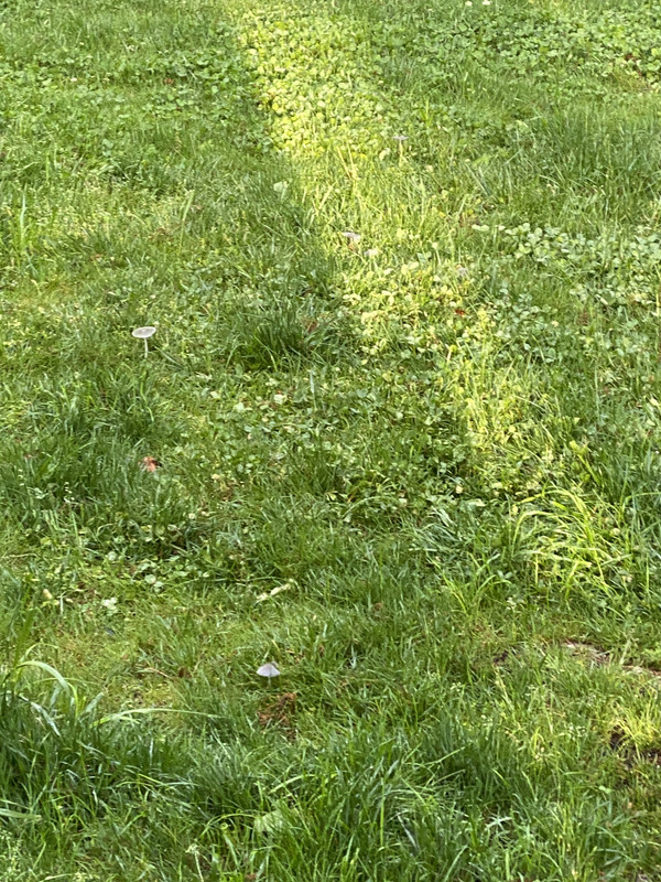 F119B83B-CAD6-4287-8AD0-B329C3075BCC