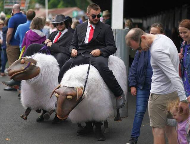picdump-kw34-2022-011.jpg