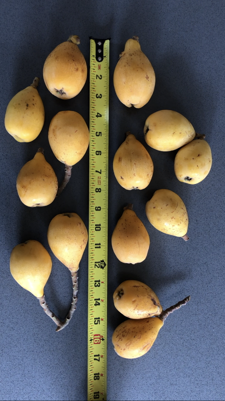 5DE6C7E1-CDFC-4B78-BA2E-0C61EAF5BE67