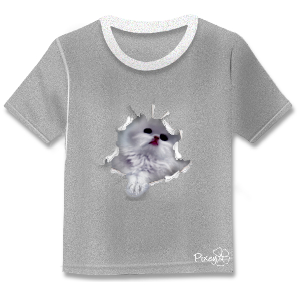 T-shirt-3.png