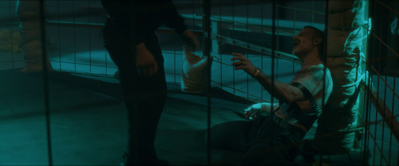 vlcsnap-2025-03-15-13h45m58s059