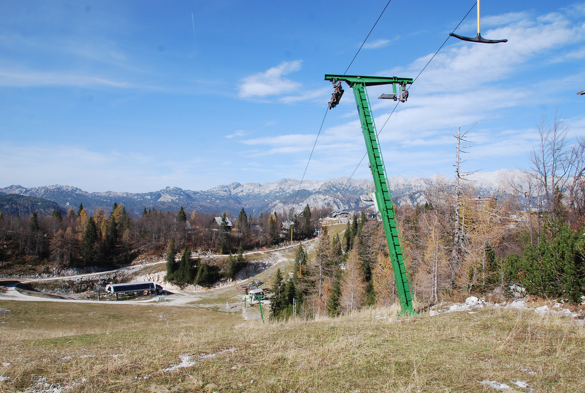 vogel okt 2022 (137)