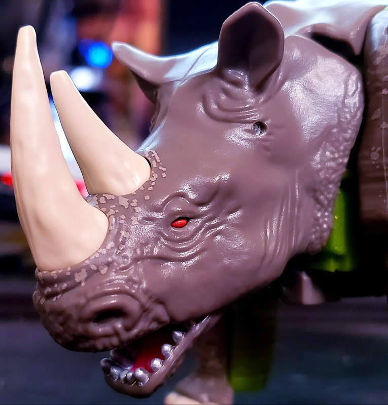 Kingdom-Rhinox-In-Hand-Images-23