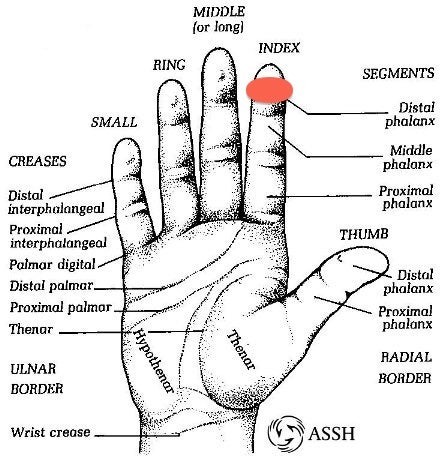 Grip 6