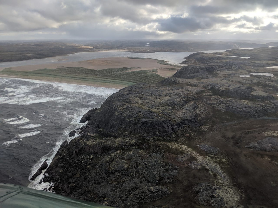 воронья фото