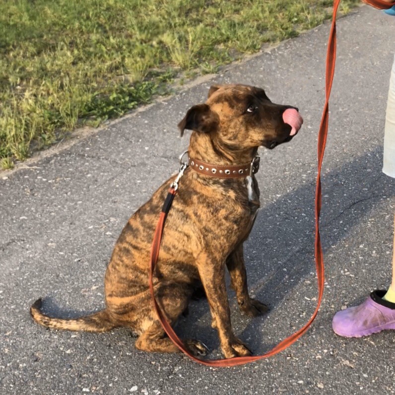 38293D4A-9691-40D7-AF6C-94F1B69E3E79