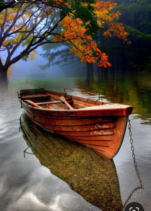 Screenshot_20230313_211627_Pinterest