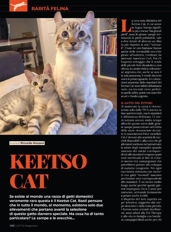 Ga Ma Ago-Set 2023 (7)