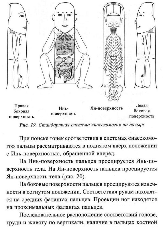 су-джок-для вг 001