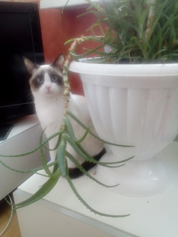 IMG_20190221_101921_1CS