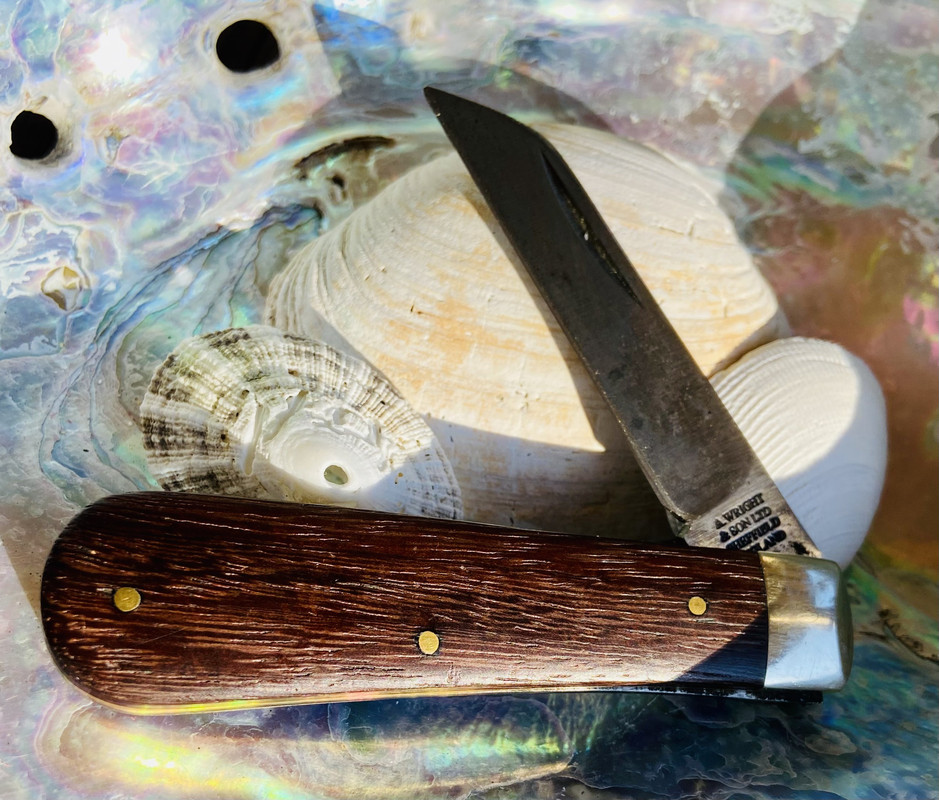 2E3D3ADE-970D-4417-8E1B-7F62EADFBF52_1_201_a