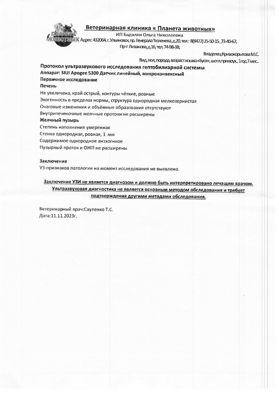 УЗИ сердца, печени