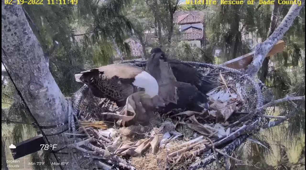 3CAD05EA-8FFA-4782-9542-BAF4344E5D7F