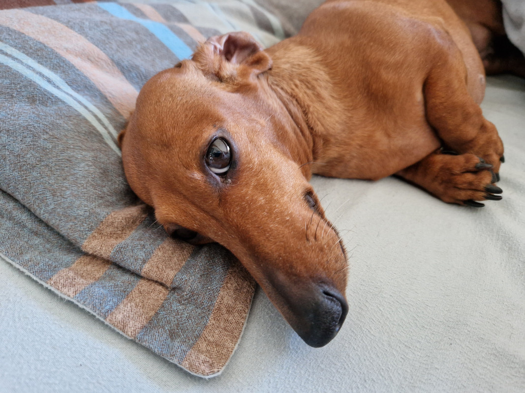 [Image: 20230218-093828.jpg]