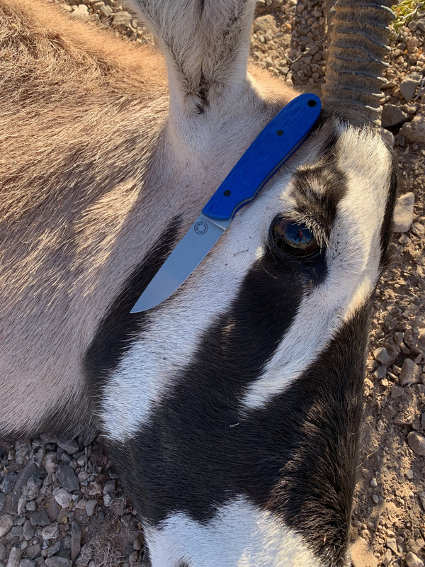 F5537FBF-F3B6-4B17-83B5-CC9C64AEF019