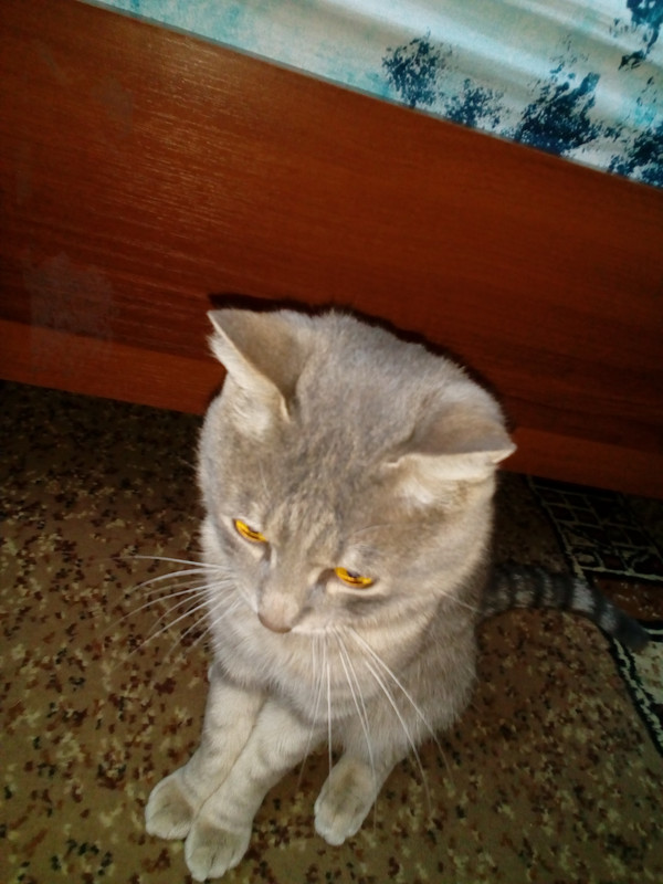 IMG-20201209-105933.jpg
