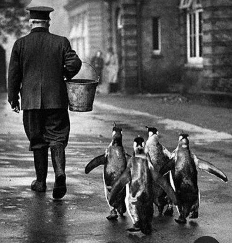 Screenshot_20231201_225528_Pinterest