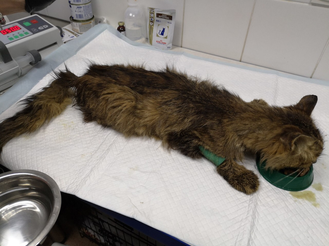 67043F8D-8126-4C55-9167-36B289BF5B29