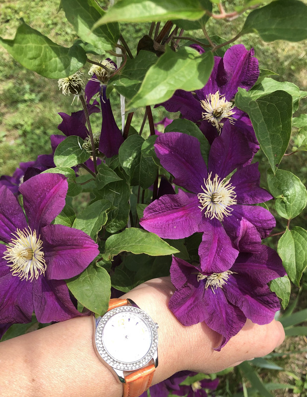 259CC28E-90B4-413B-B816-8A05542829DE