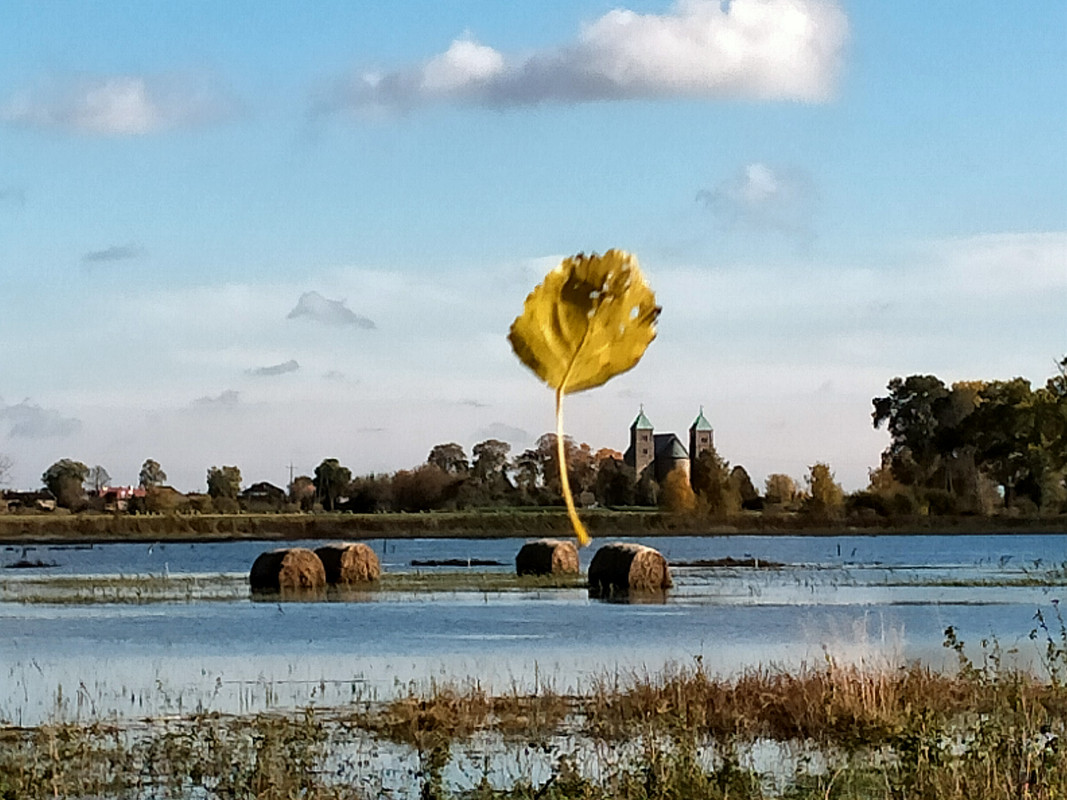 041 - IMG20201024133951