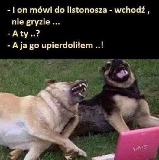 [Obrazek: FB-IMG-1672667760305.jpg]