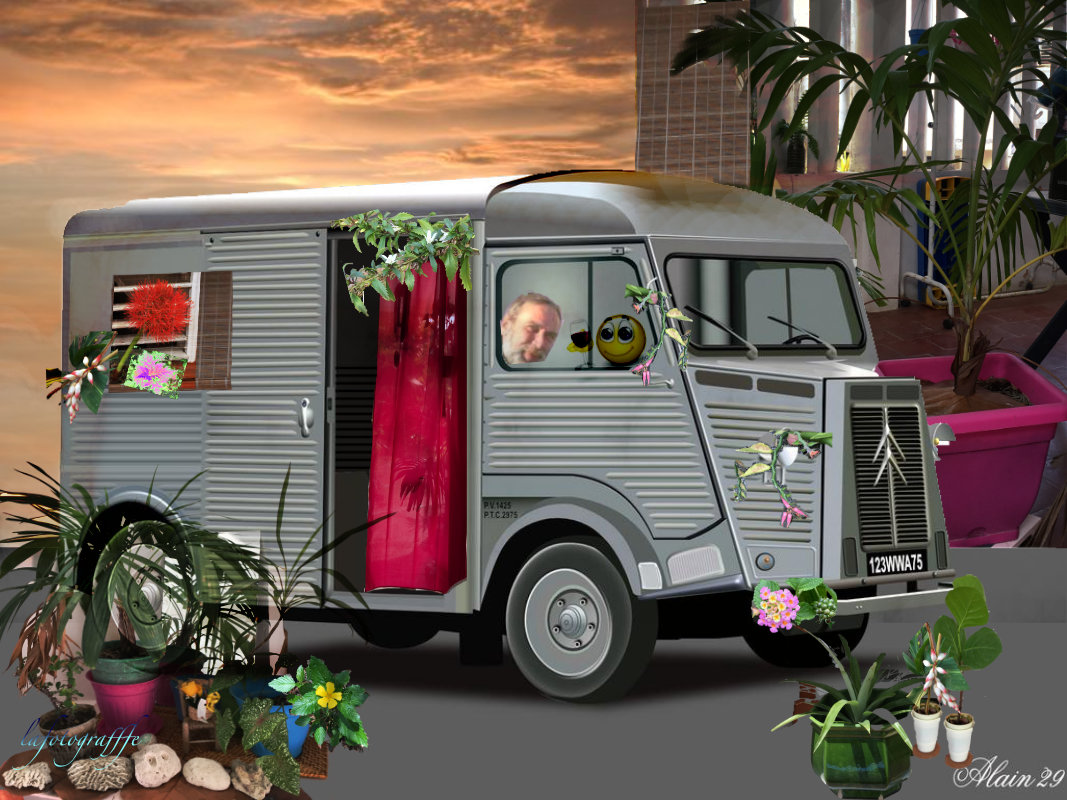 Le fleuriste