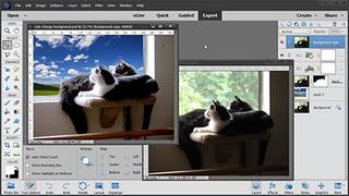Photoshop Elements 2018 [Video]