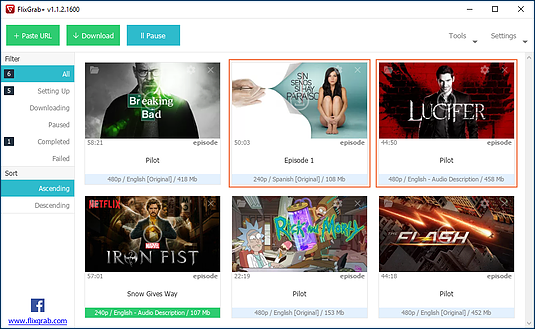 FlixGrab+ 1.5.2.264 Premium + Portable