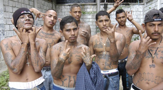 [Image: MS-13.jpg]