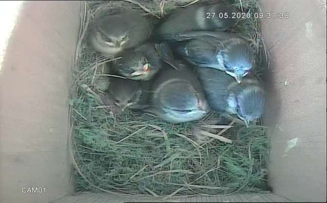 5F962445-2920-47E7-B341-3D860DCDB164